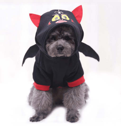 Batwing Hoodie Pet Halloween Costume - All Pet Things - S
