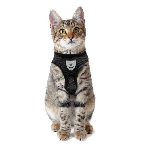 Mesh Padded Cat Harness with Free Leash - All Pet Things - S / Black