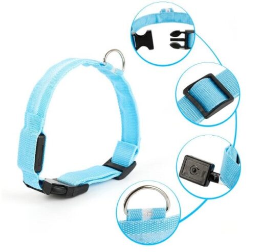 LED Light Up Dog Collar - All Pet Things - M / Blue