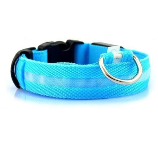 LED Light Up Dog Collar - All Pet Things - XL / Blue