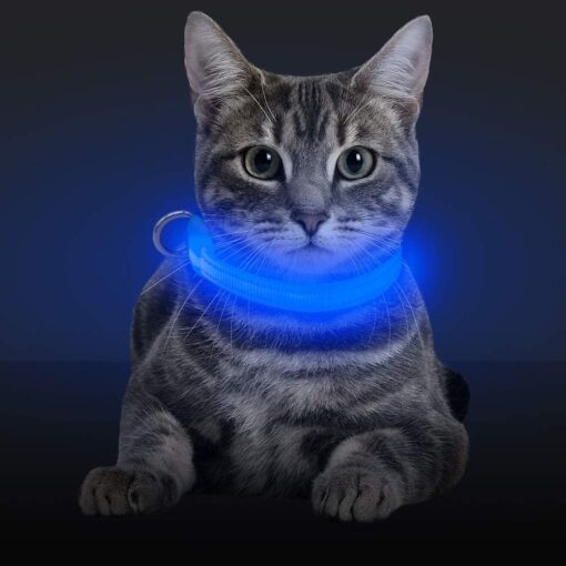 LED Light Up Cat Collar - All Pet Things - S / Blue