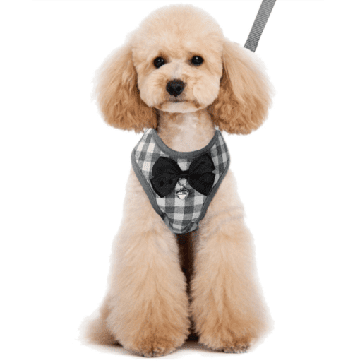 Mesh Plaid and Checkered Dog Harness With Bow - Free Leash Included! - All Pet Things - M / Gray