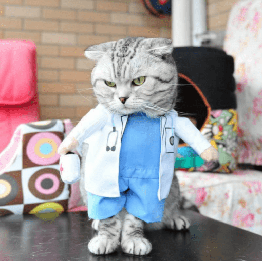 Cat Doctor Funny Pet Halloween Costume - All Pet Things - M