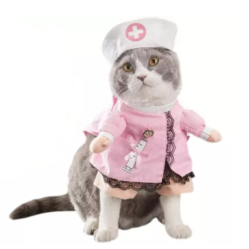 Cat Nurse Funny Pet Halloween Costume - All Pet Things - S