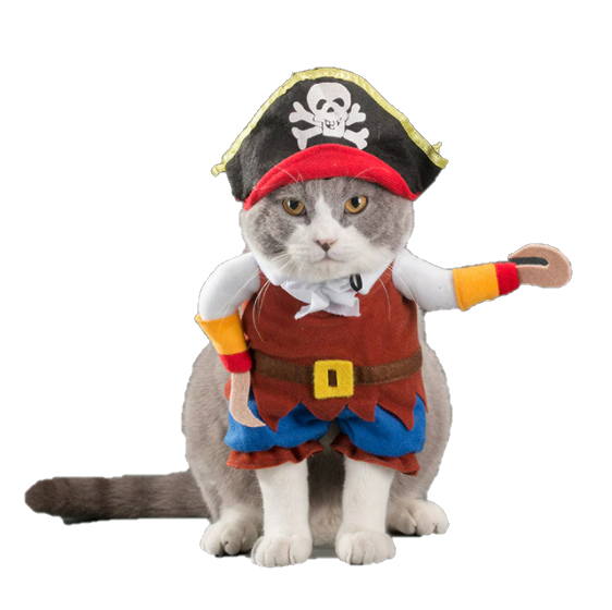 Caribbean Cat Pirate Funny Pet Halloween Costume - All Pet Things - S