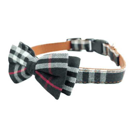 Designer Plaid Bow-tie Dog Collar - All Pet Things - Black / S