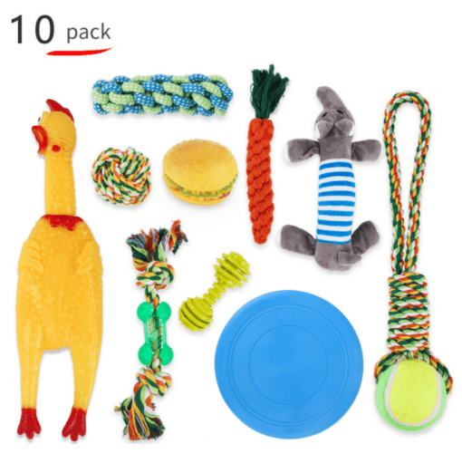 10 Piece Dog Toy Set - Chew and Rope Toy Variety Pack! - All Pet Things -