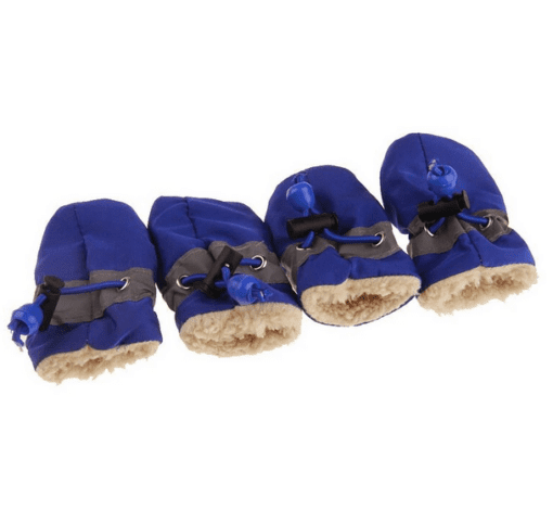 All Weather Dog Booties - All Pet Things - Blue / Size 3 - Paw Width 1.35-1.40 Inches