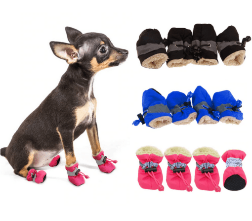 All Weather Dog Booties - All Pet Things - Black / Size 3 - Paw Width 1.35-1.40 Inches