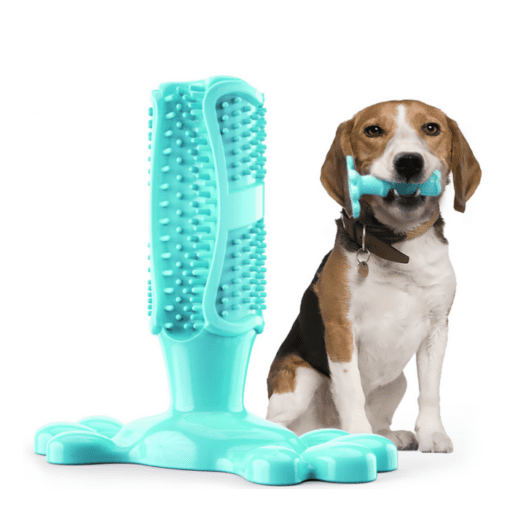 Dog Toothbrush Chew Toy - All Pet Things - Blue
