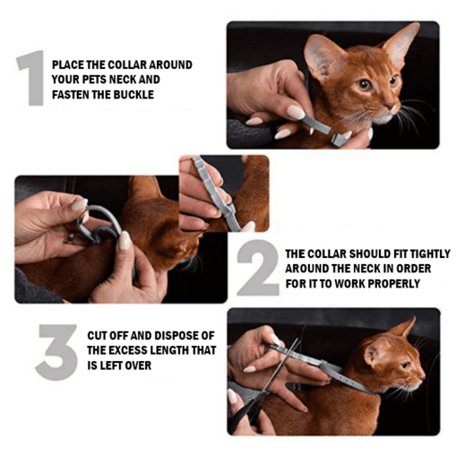 All Natural Flea & Tick Cat Collar-  Safely Prevent Unwanted Pests! - All Pet Things -