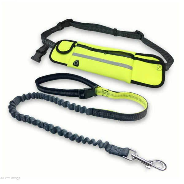 Hands-Free Bungee Running Leash with Waist Belt Pouch - All Pet Things - Green