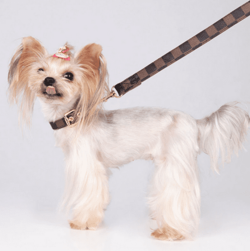 Louis Pawtton Collar and Leash Set - Trendy Monogram and Lattice Designs - All Pet Things - Brown Checkered / M