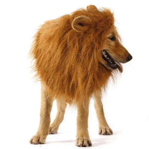 Lion Mane Dog Halloween Costume - All Pet Things -