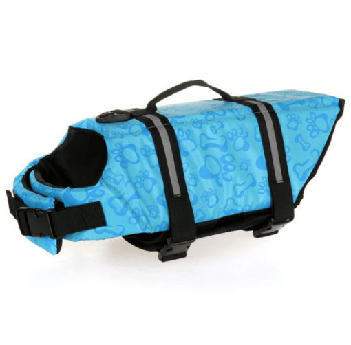 Dog Life Jacket Vest - Have Fun in the Water and Stay Safe! - All Pet Things - Blue Paw Print / S