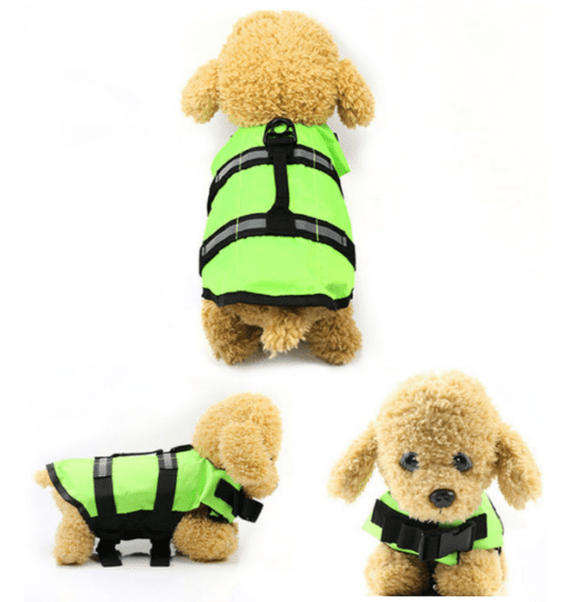 Dog Life Jacket Vest - Have Fun in the Water and Stay Safe! - All Pet Things - Green / XS