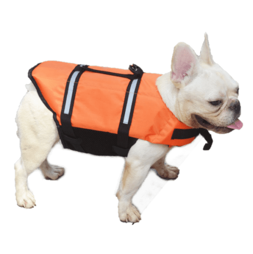 Dog Life Jacket Vest - Have Fun in the Water and Stay Safe! - All Pet Things - Orange / XS