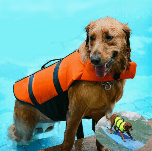 Dog Life Jacket Vest - Have Fun in the Water and Stay Safe! - All Pet Things - Orange / S