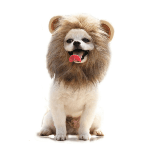 Lion Mane Pet Halloween Costume - Great for Smaller Dogs and Cats! - All Pet Things - S