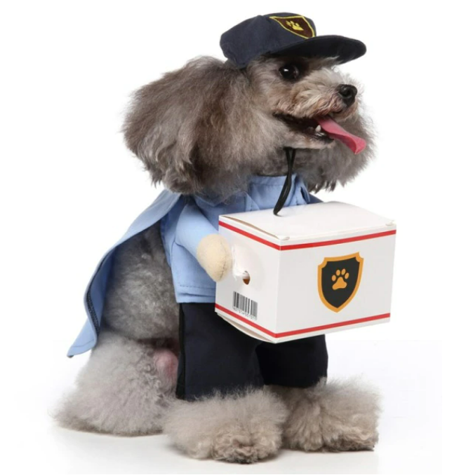 Mailman Pet Dog Halloween Costume with Package - All Pet Things - S