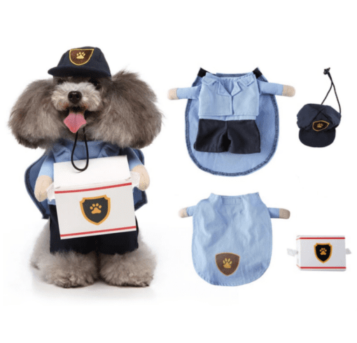 Mailman Pet Dog Halloween Costume with Package - All Pet Things - M