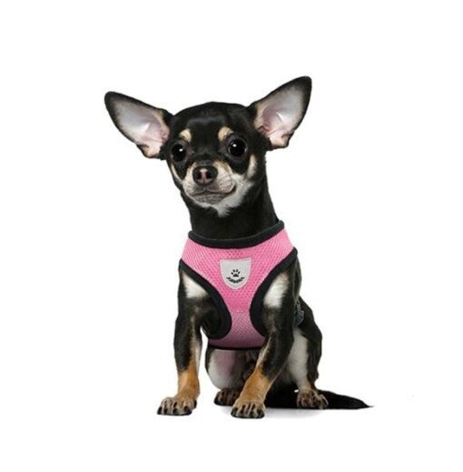 Mesh Padded Dog Harness with Free Leash - All Pet Things - S / Pink