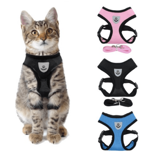 Mesh Padded Cat Harness with Free Leash - All Pet Things -