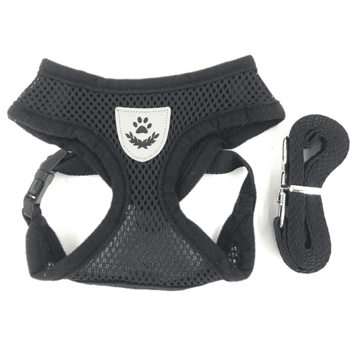 Mesh Padded Dog Harness with Free Leash - All Pet Things - S / Black