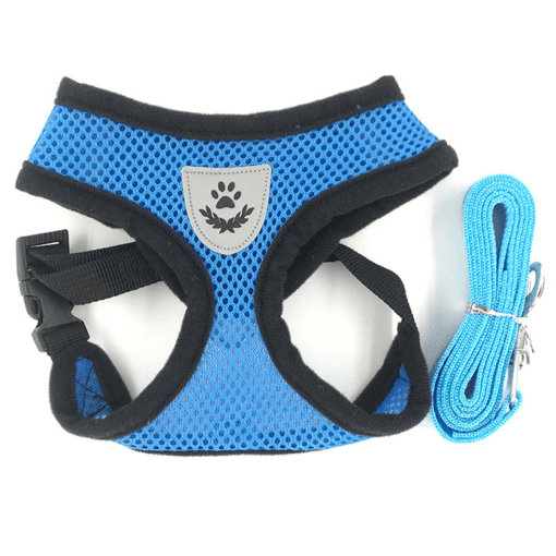 Mesh Padded Dog Harness with Free Leash - All Pet Things - S / Blue