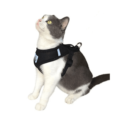 Mesh Padded Cat Harness with Free Leash - All Pet Things -