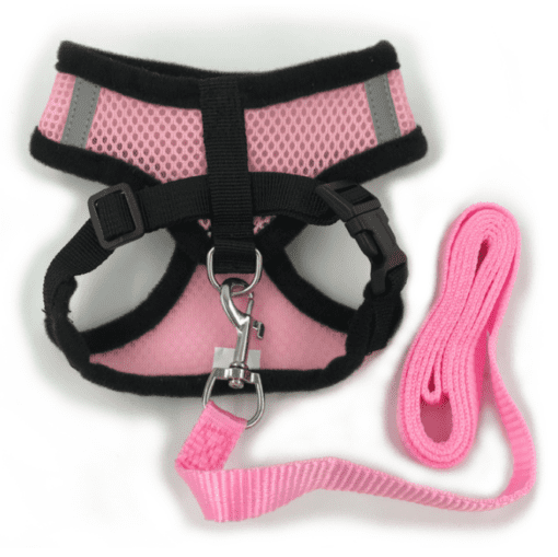 Mesh Padded Cat Harness with Free Leash - All Pet Things - M / Pink