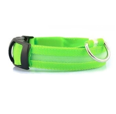 LED Light Up Cat Collar - All Pet Things - S / Green