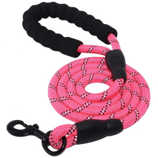 Reflective Padded Nylon Leash - All Pet Things - Pink
