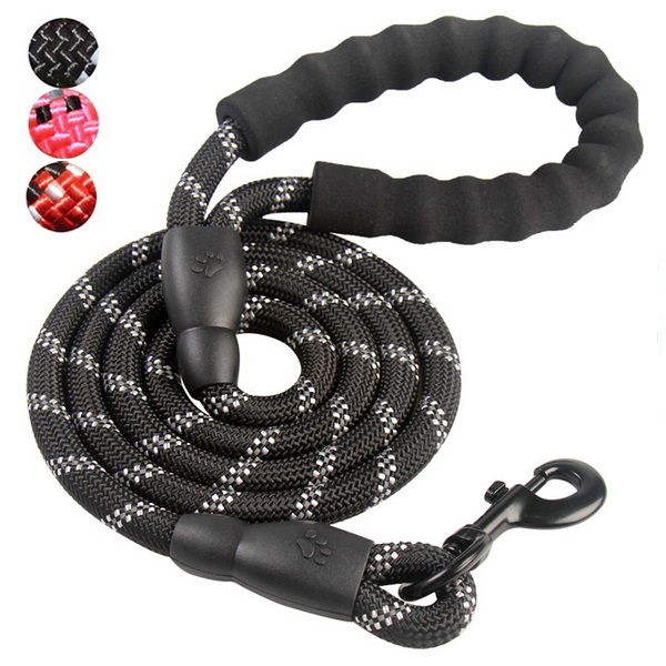 Reflective Padded Nylon Leash - All Pet Things -