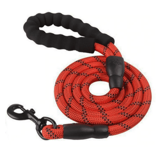 Reflective Padded Nylon Leash - All Pet Things - Red