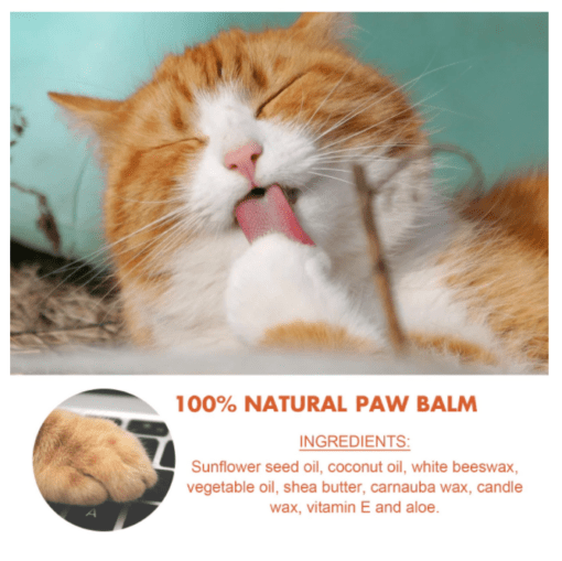 100% All Natural Dog Paw and Snout Cream - Helps Sooth and Moisturize! - All Pet Things -