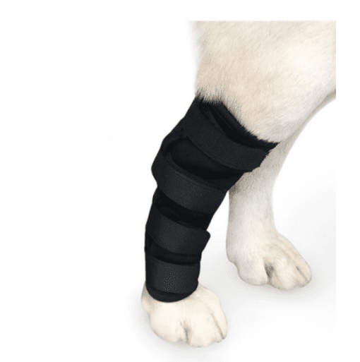 Dog Hock Compression Support Brace - Great for Arthritis and Joint Pain - All Pet Things - L