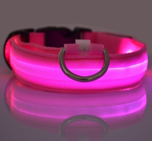 LED Light Up Dog Collar - All Pet Things - XL / Pink