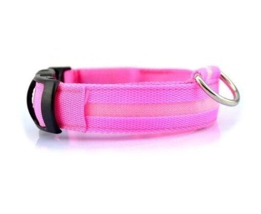 LED Light Up Dog Collar - All Pet Things - S / Pink