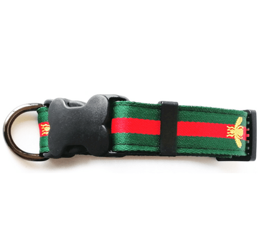 Pucci Bee Designer Collar and Leash Set - Classic Green and Red Design! - All Pet Things -