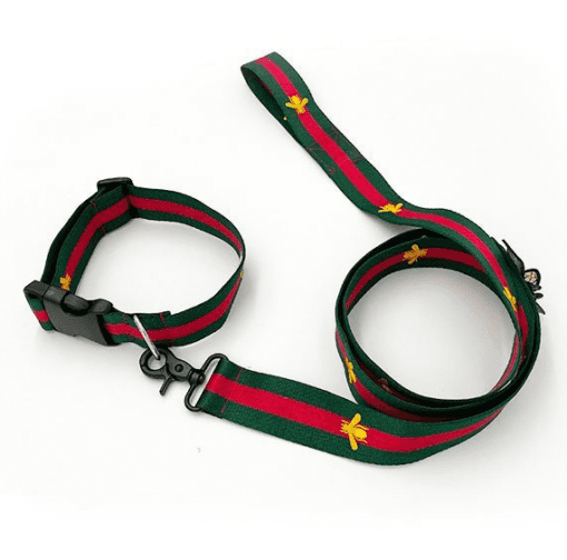 Pucci Bee Designer Collar and Leash Set - Classic Green and Red Design! - All Pet Things - M