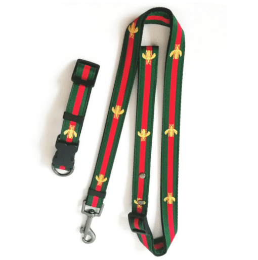 Pucci Bee Designer Collar and Leash Set - Classic Green and Red Design! - All Pet Things - S