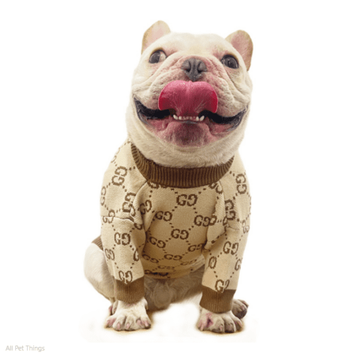 Pucci Brown and Tan Monogram Sweater - All Pet Things -