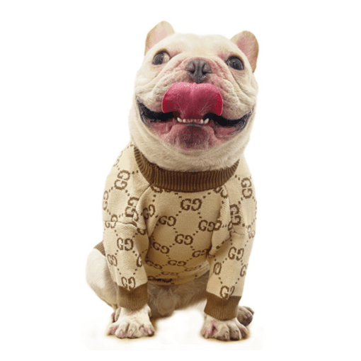 Pucci Brown and Tan Monogram Sweater - All Pet Things - L