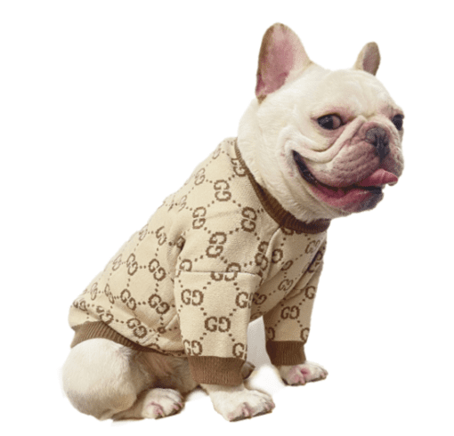 Pucci Brown and Tan Monogram Sweater - All Pet Things - S