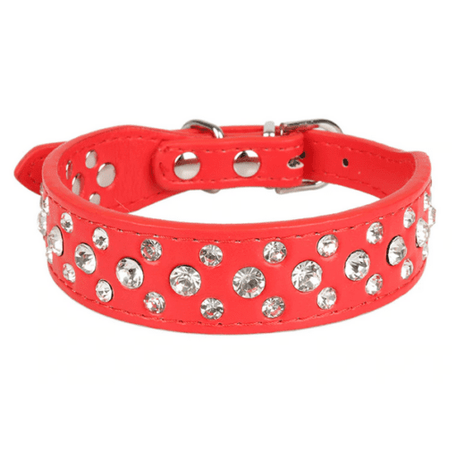 Rhinestone Bling Dog Collar - All Pet Things - Red / XXS