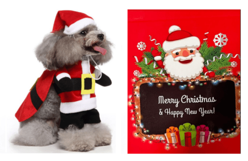 Cute Santa Dog Christmas Holiday Pet Costume - All Pet Things -
