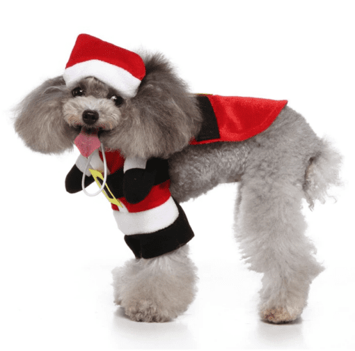 Cute Santa Dog Christmas Holiday Pet Costume - All Pet Things - M