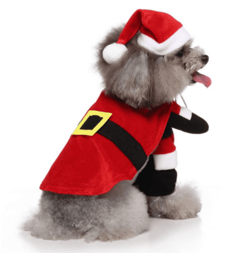 Cute Santa Dog Christmas Holiday Pet Costume - All Pet Things - L