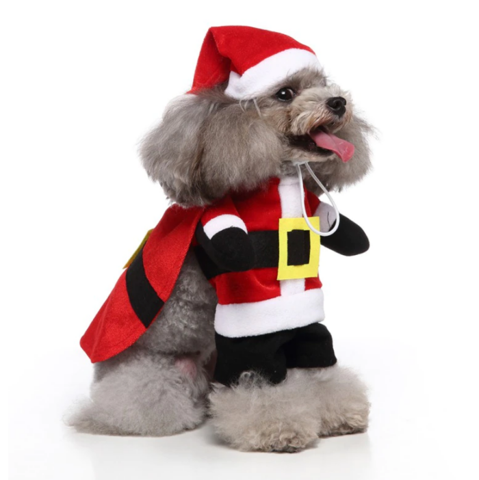 Cute Santa Dog Christmas Holiday Pet Costume - All Pet Things - S